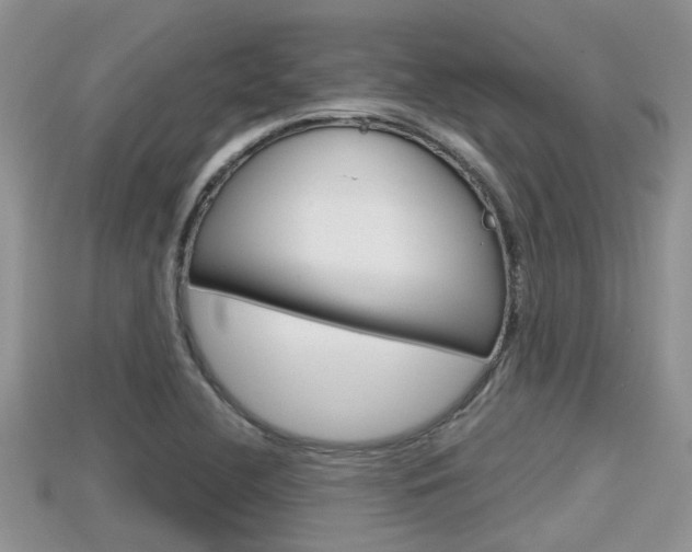 X0000115681412200911120937