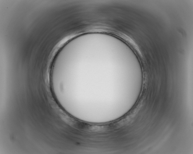 X0000115681419200911120938