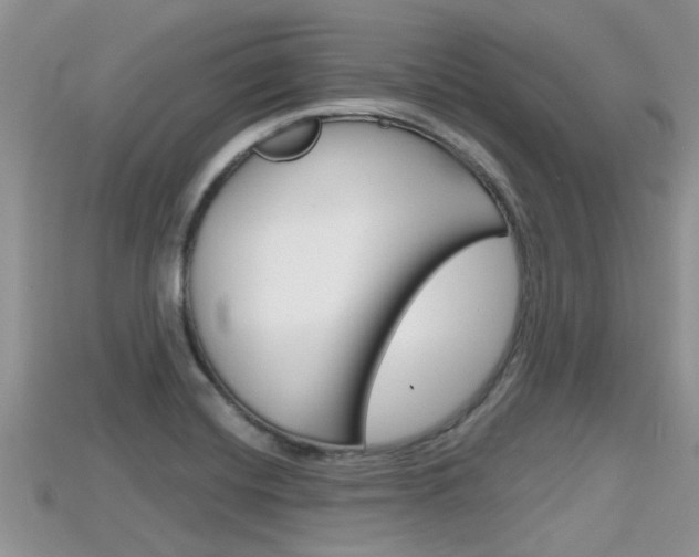 X0000115681420200911120938