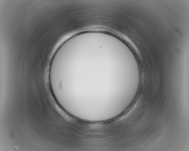 X0000115681421200911120938