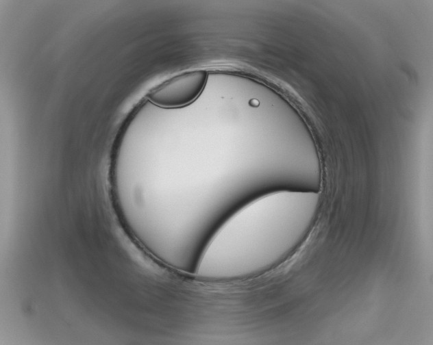 X0000115681422200911120938
