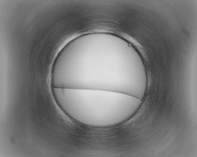X0000115681423200911120938