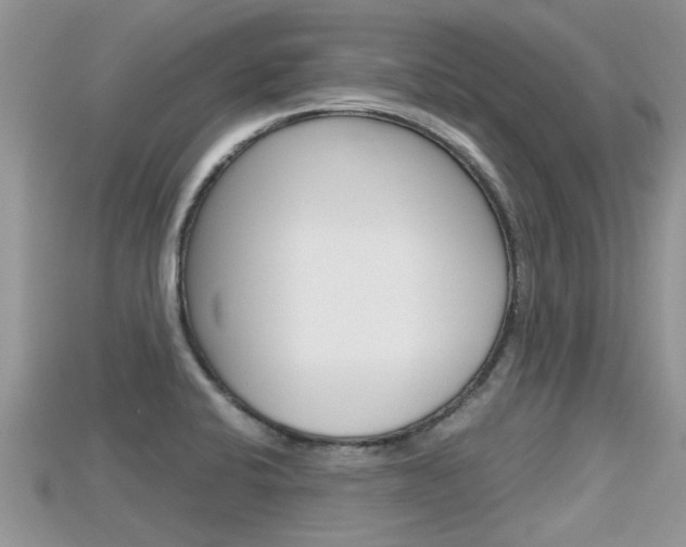 X0000115681424200911120938
