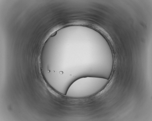 X0000115681425200911120938