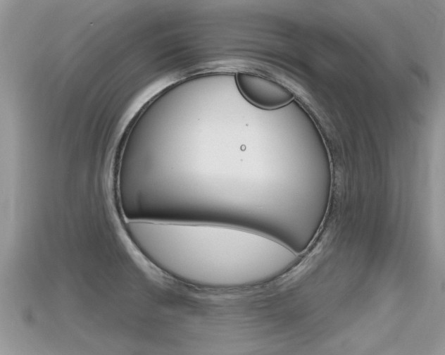 X0000115681426200911120938