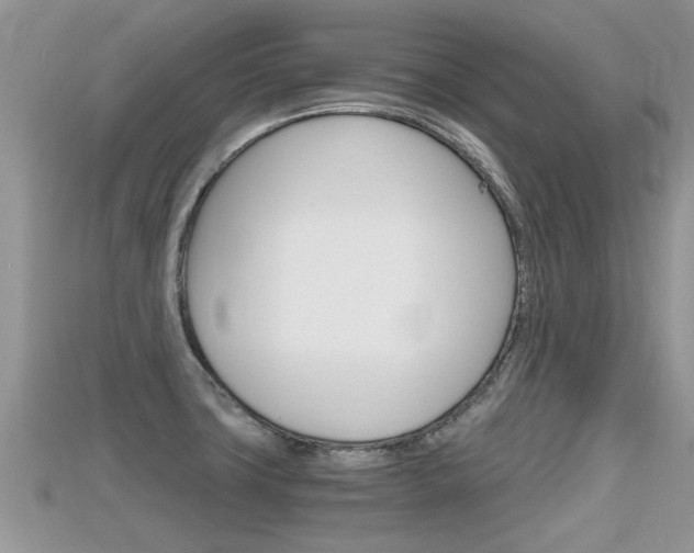X0000115681427200911120938