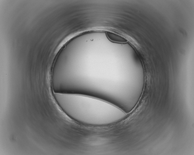 X0000115681428200911120938