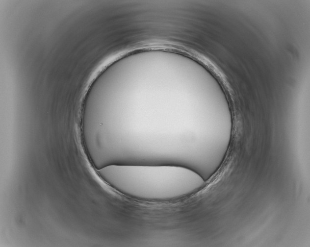 X0000115681429200911120938