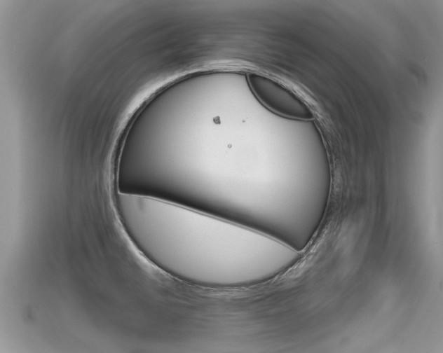 X0000115681430200911120938