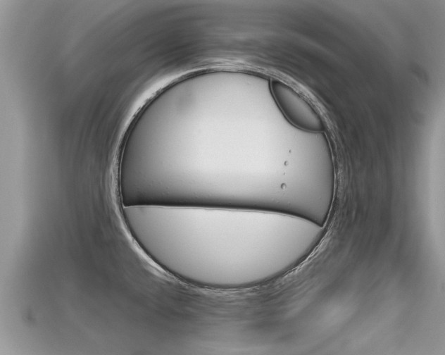 X0000115681432200911120938