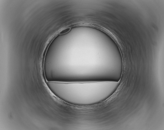 X0000115681434200911120938