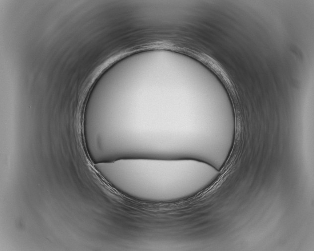 X0000115681435200911120938