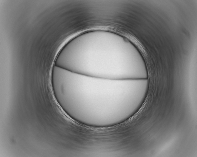 X0000115681436200911120938