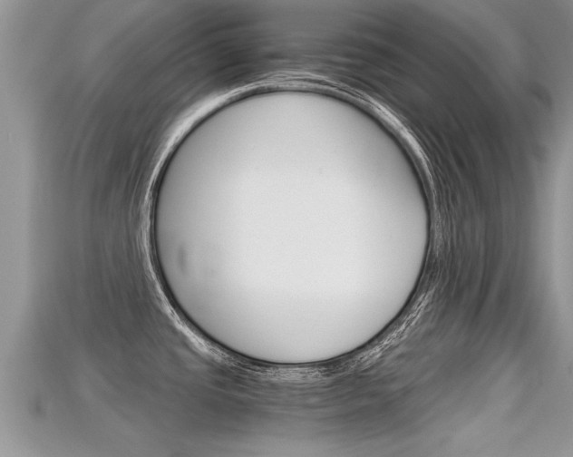 X0000115681437200911120938