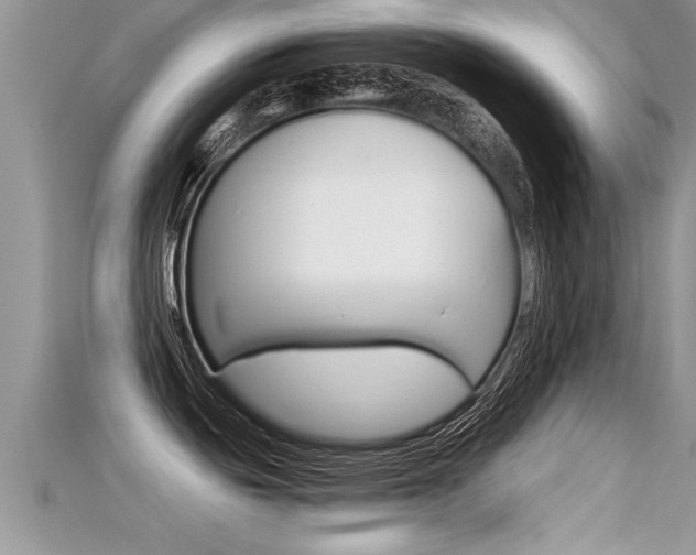 X0000115681439200911120938