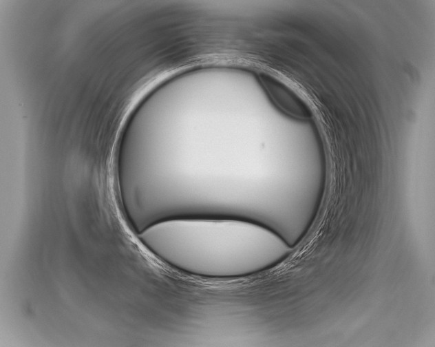 X0000115681440200911120938
