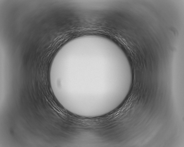 X0000115681444200911120937