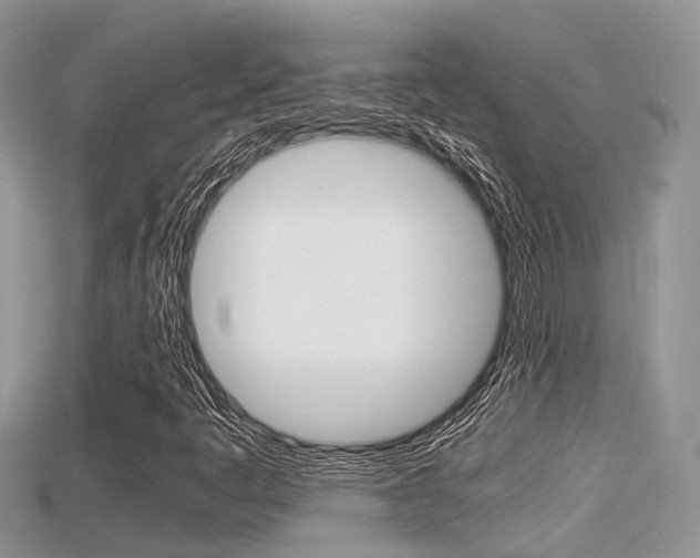 X0000115681445200911120937