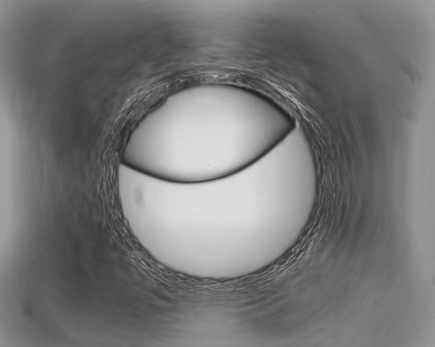 X0000115681447200911120937