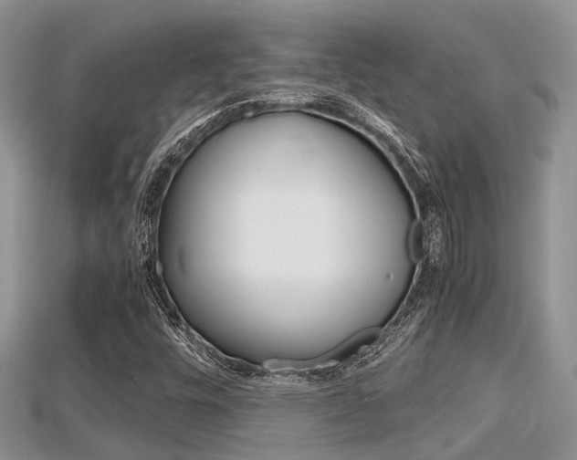 X0000115681448200911120937
