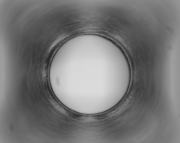 X0000115681450200911120937