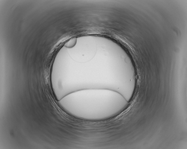 X0000115681451200911120937