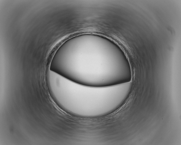 X0000115681452200911120937