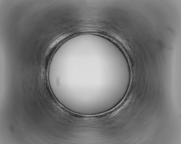 X0000115681453200911120937