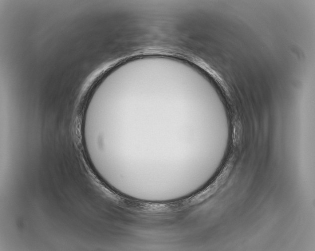 X0000115681454200911120937