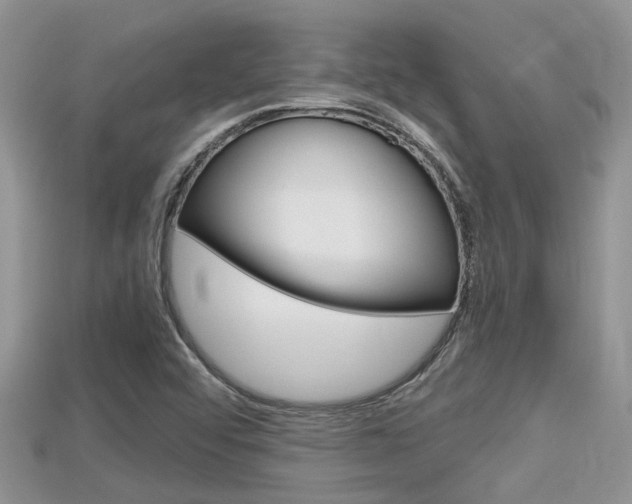 X0000115681456200911120937