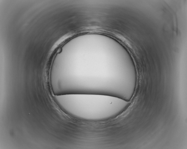 X0000115681458200911120937