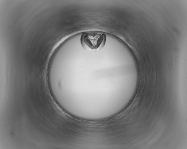 X0000115681460200911120937