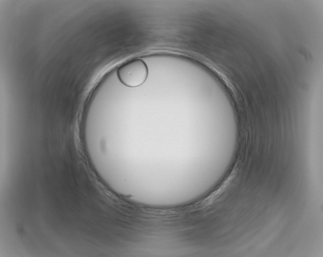 X0000115681461200911120937