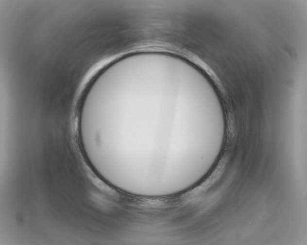 X0000115681462200911120937