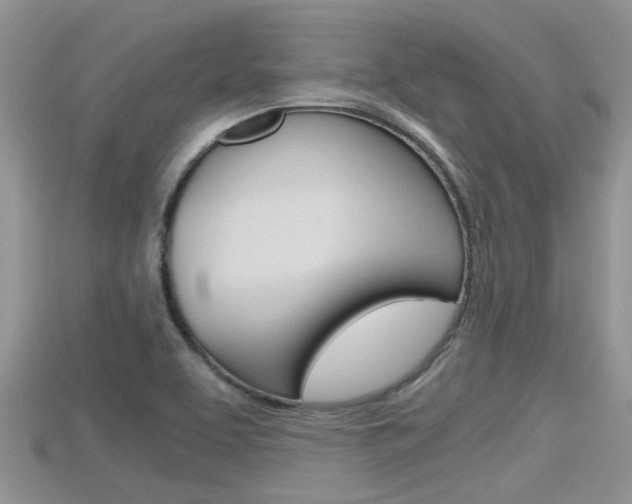 X0000115681463200911120937