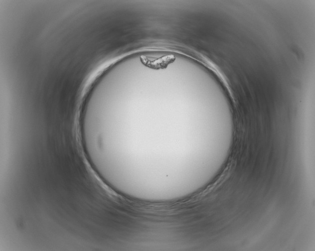 X0000115681464200911120937