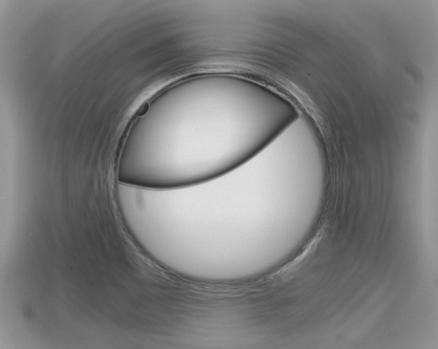 X0000115681465200911120937
