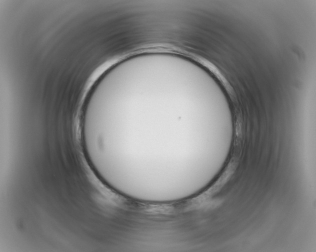 X0000115681466200911120937