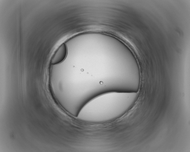 X0000115681467200911120937