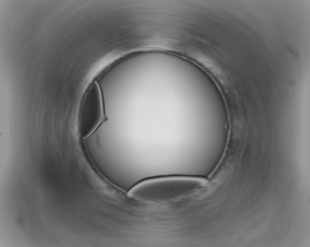 X0000115681469200911120937