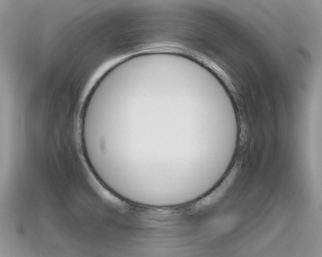 X0000115681470200911120937