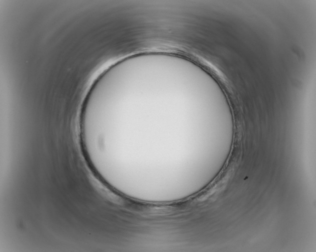 X0000115681471200911120937