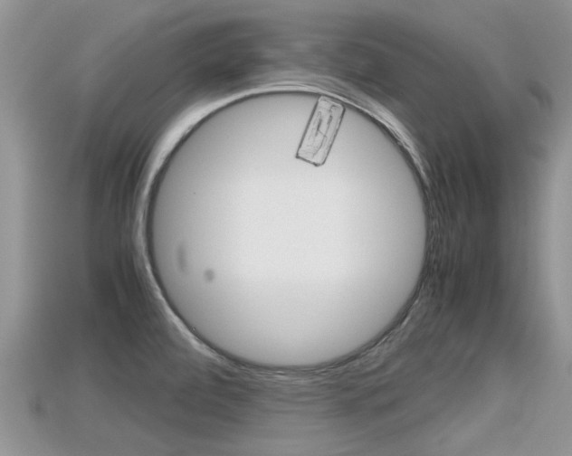 X0000115681472200911120937