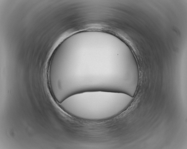 X0000115681475200911120937