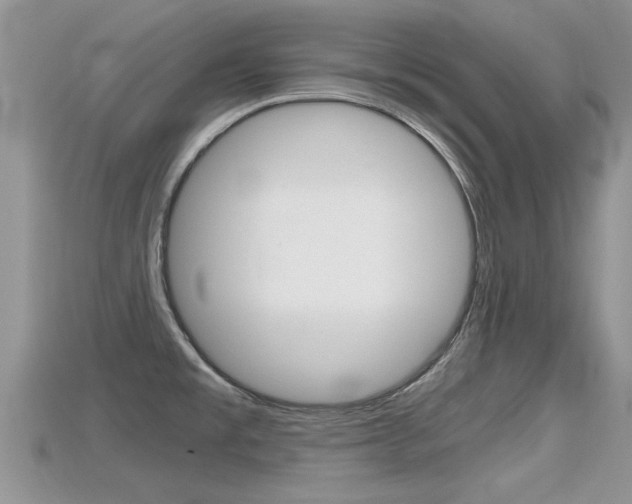 X0000115681477200911120937