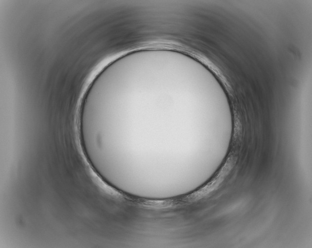 X0000115681478200911120937
