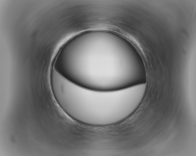 X0000115681480200911120937