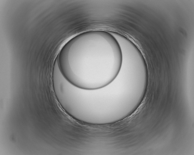 X0000115681481200911120937