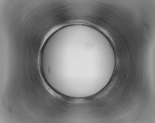 X0000115681482200911120937