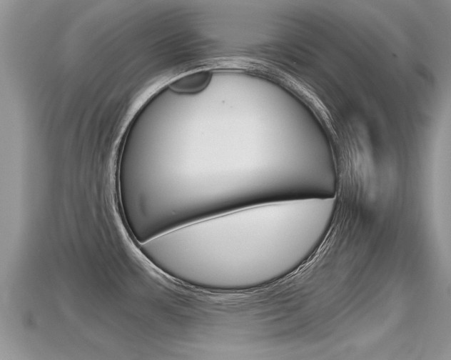 X0000115681483200911120937